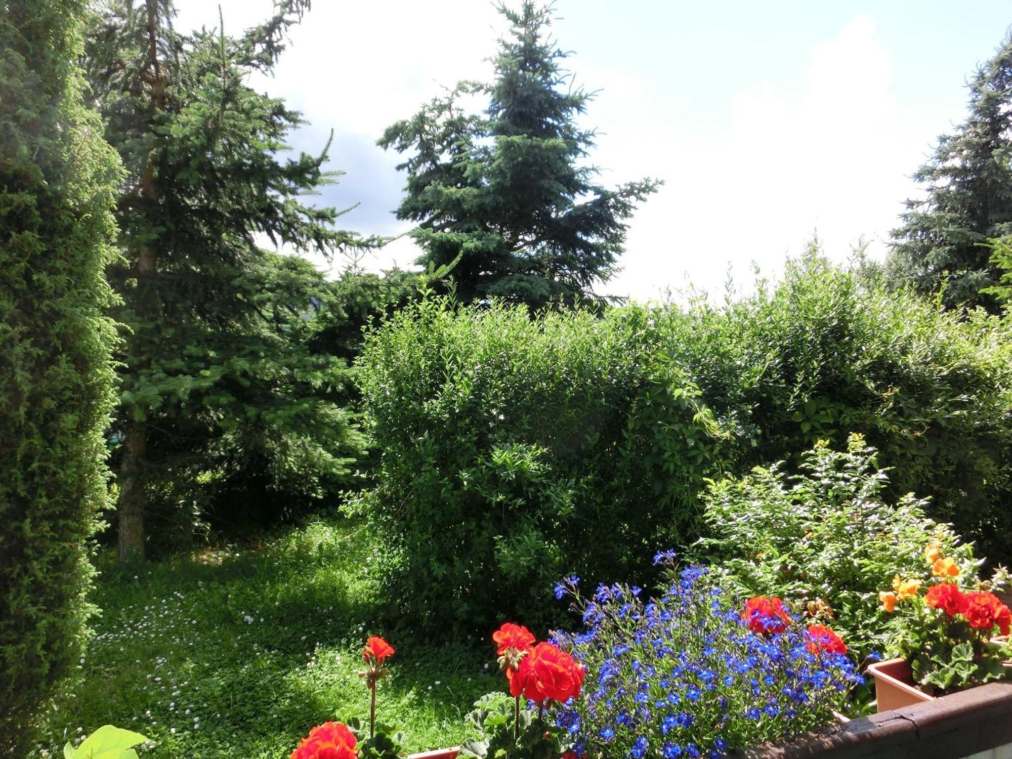 Holiday Home In Cattenstedt Harz With Garden 外观 照片