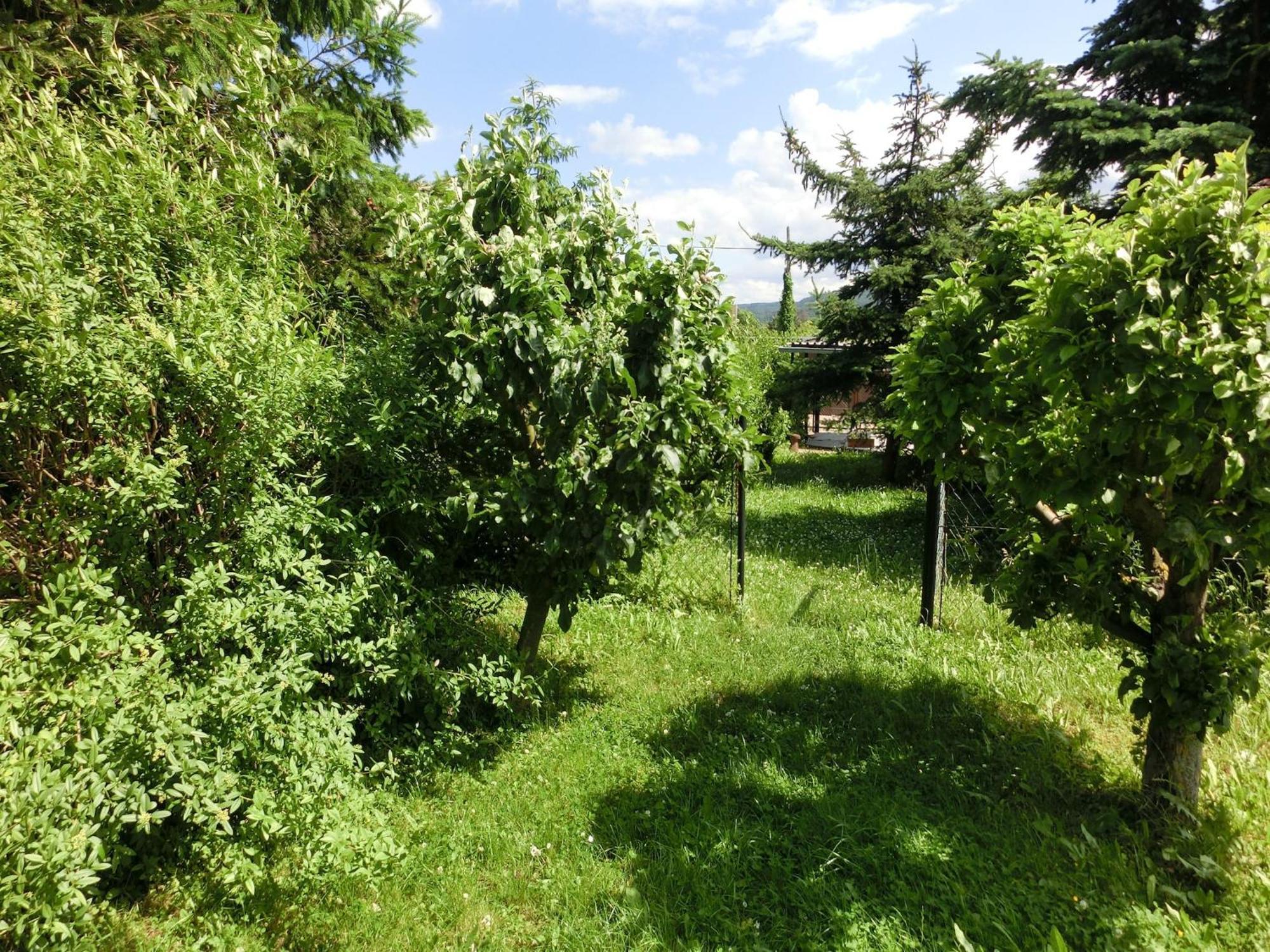 Holiday Home In Cattenstedt Harz With Garden 外观 照片